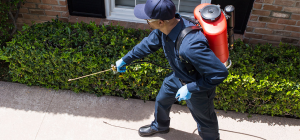 pest control Orillia