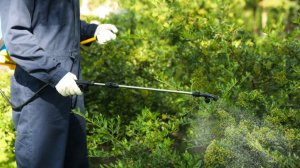 pest control Barrie Ontario