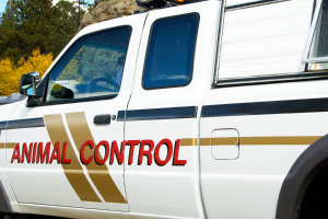 animal control in Barrie